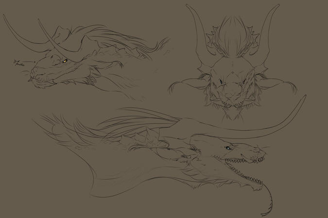 Head sketch Head sketch
